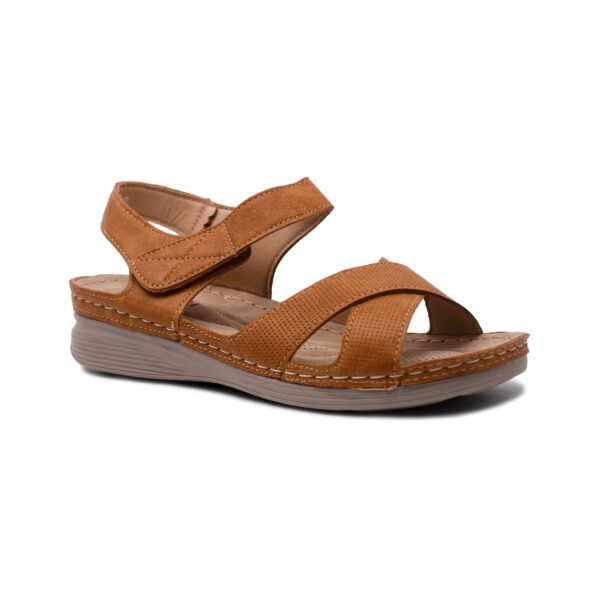 Imagen de 1563 Edicion Camel