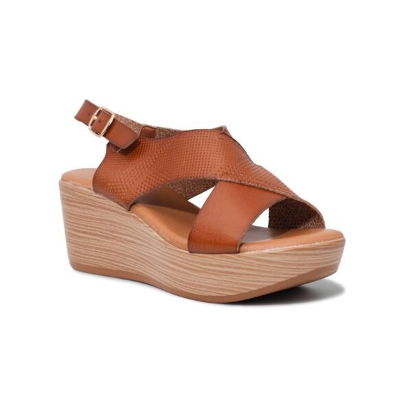 Imagen de 1729 Edicion Camel