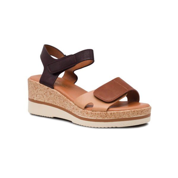 Imagen de 3177 Edicion Camel
